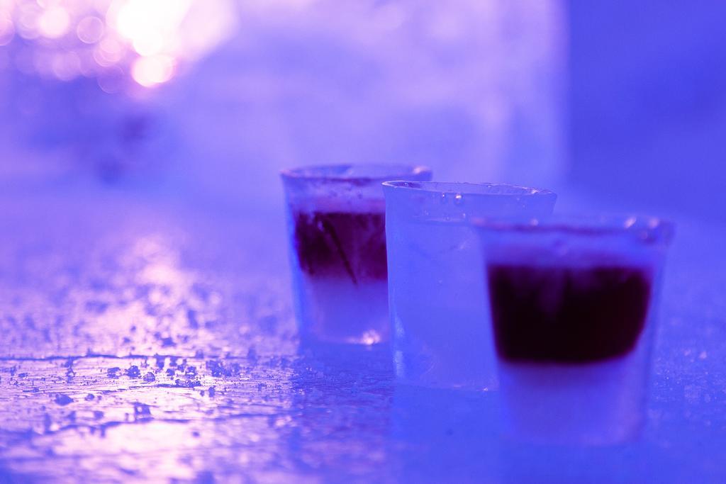 Glass Resort Rovaniemi Eksteriør bilde